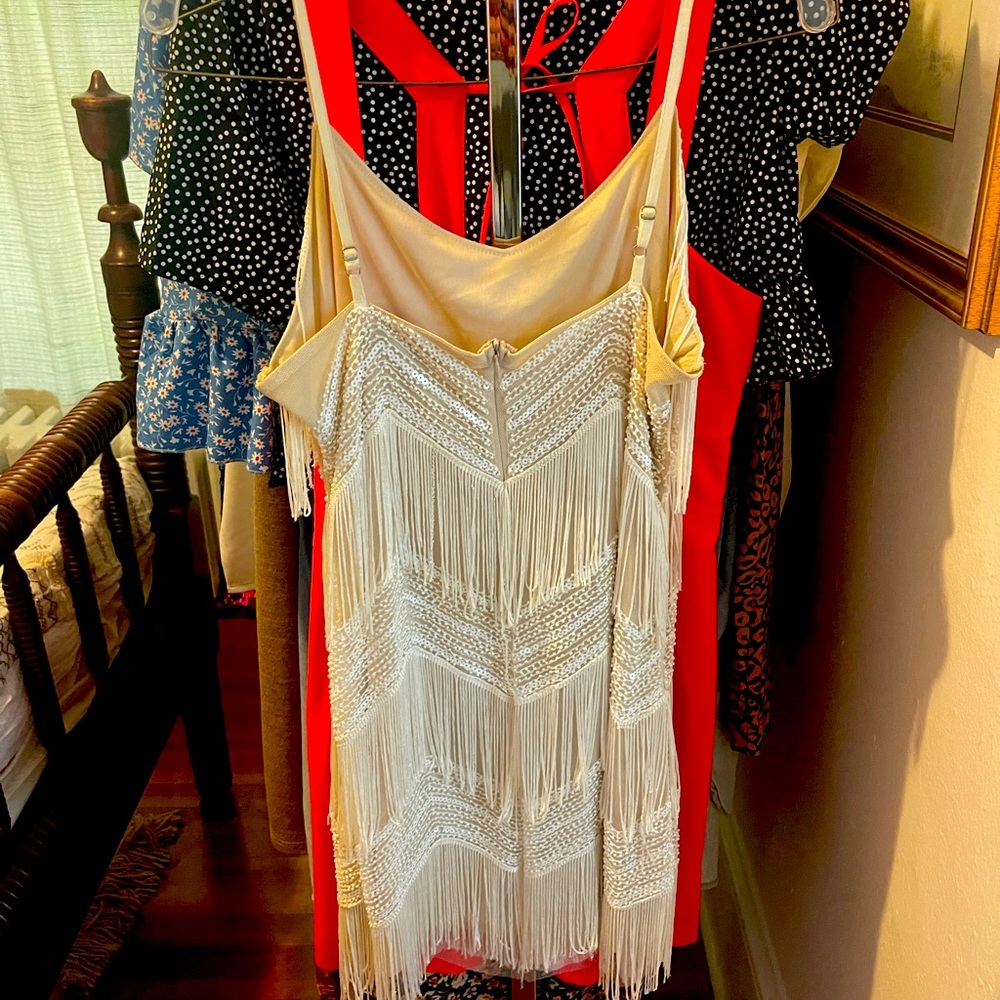 Re-posh Lulu’s fringe beaded, mini dress size large